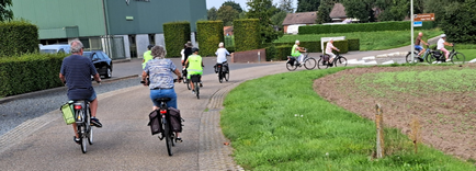 Roggel 18 Fietstocht langs monumentale bomen