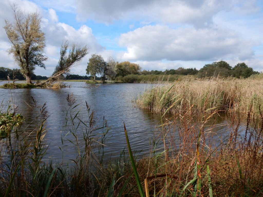 Wandeling De Banen 6 Wandeling De Banen