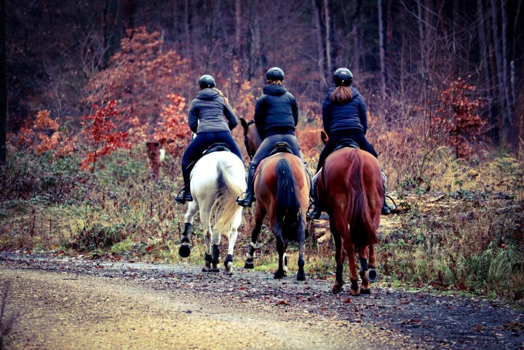 tho ge horses 7674277