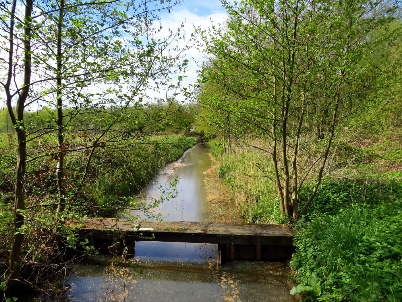 Dubbroek springbeek_Piet Fleuren