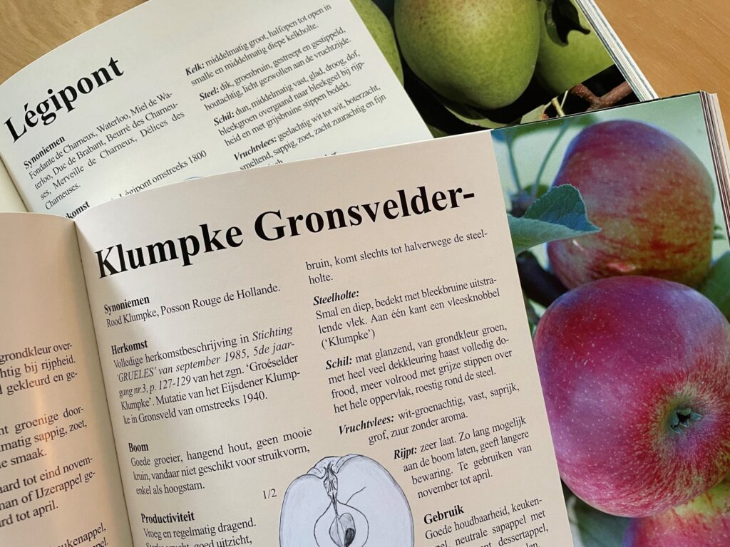 Fruitdeterminatiedag