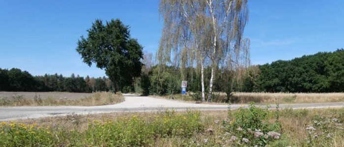 Herfstwandeling in stiltegebied Asbroekerheide