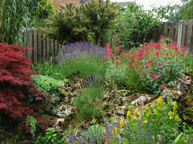 Lezing 'Natuur in de achtertuin'