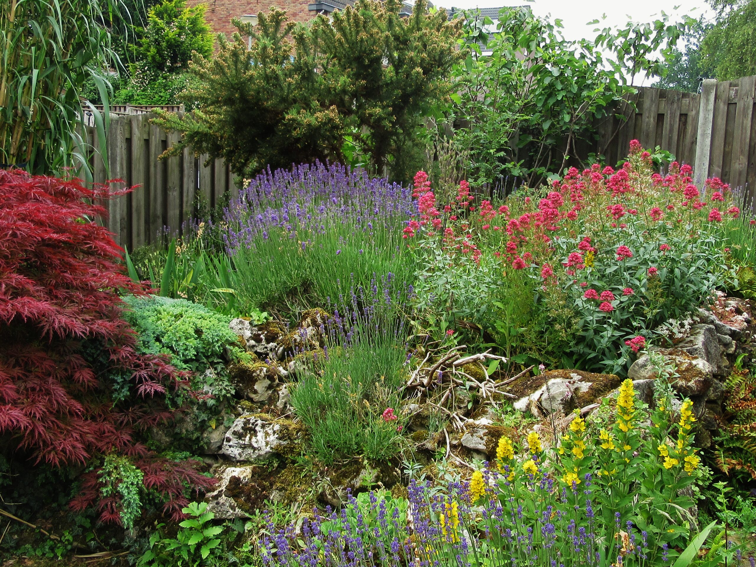 Lezing 'Natuur in de achtertuin'