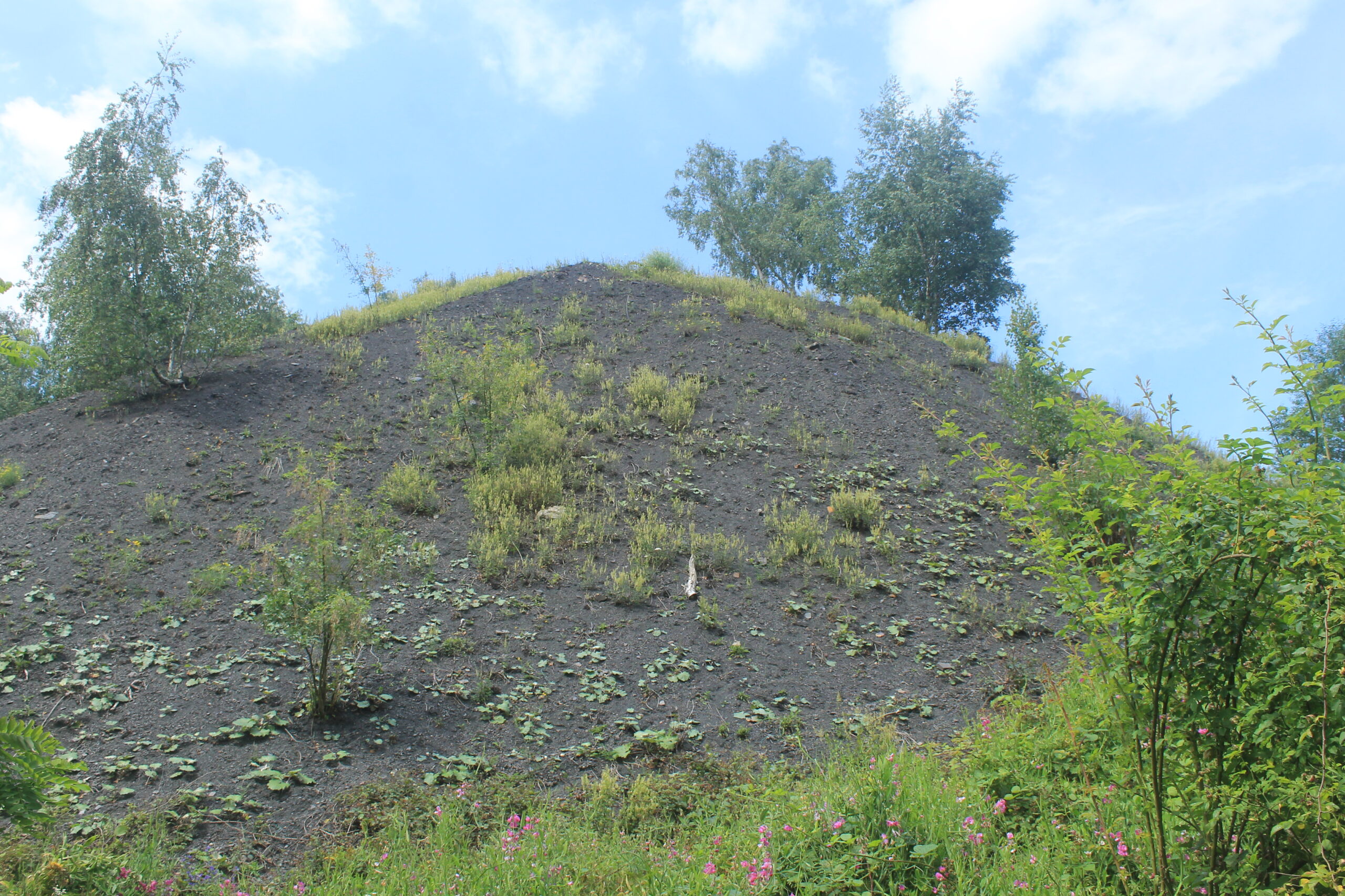 Lezing Steenbergen - bedreigd Limburgs erfgoed - Steenberg Heksenberg
