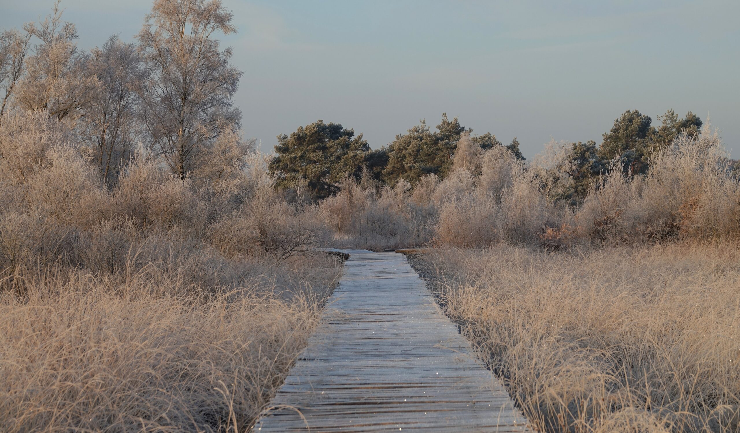 Nature Impact Day (Marijke Vaes)