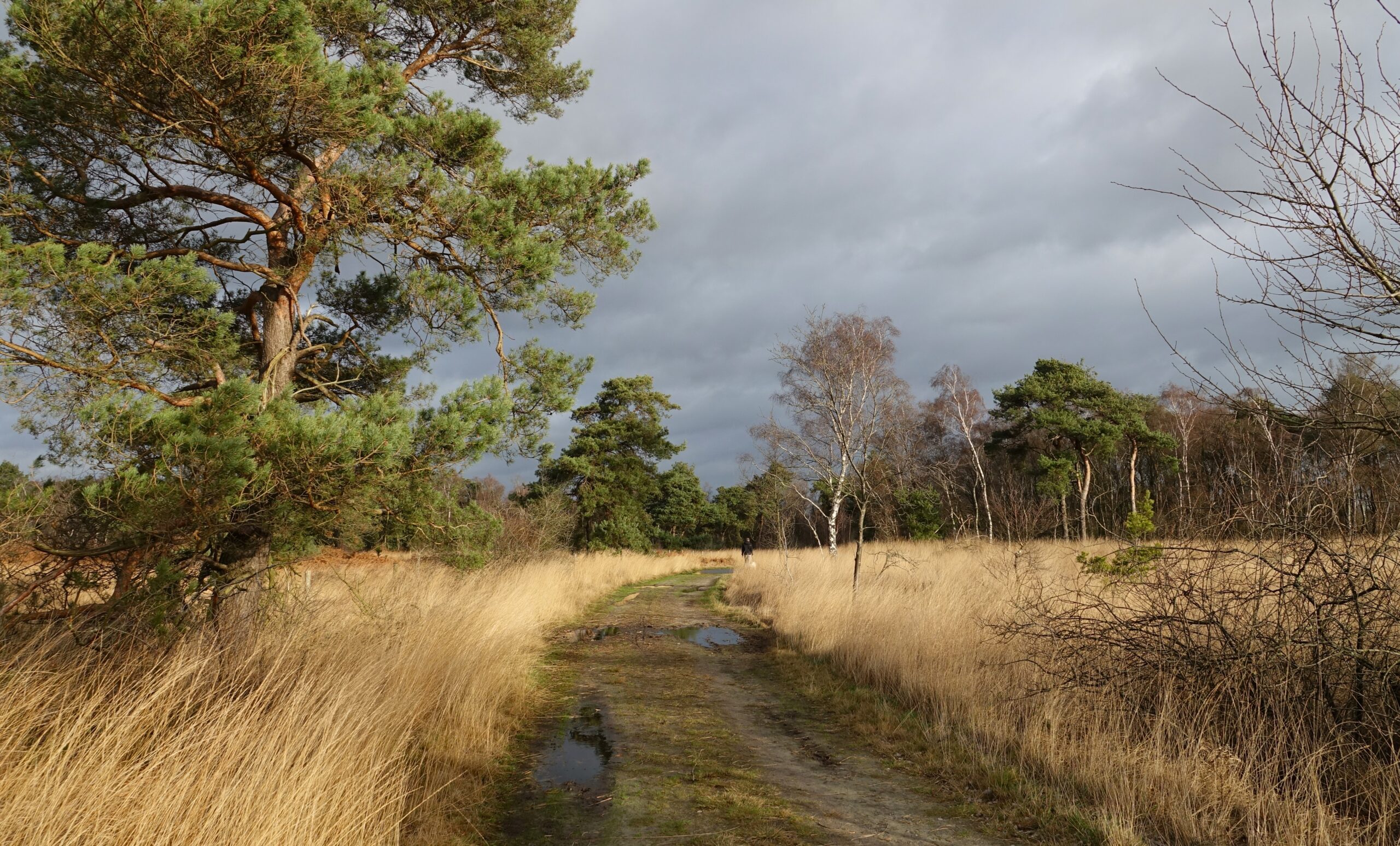 Turfstekerstocht (Marijke Vaes)