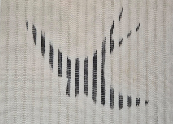 Expositie Damastweversgilde en Nederlandse IKAT-Kring - Agaath Theiken ikat 3b