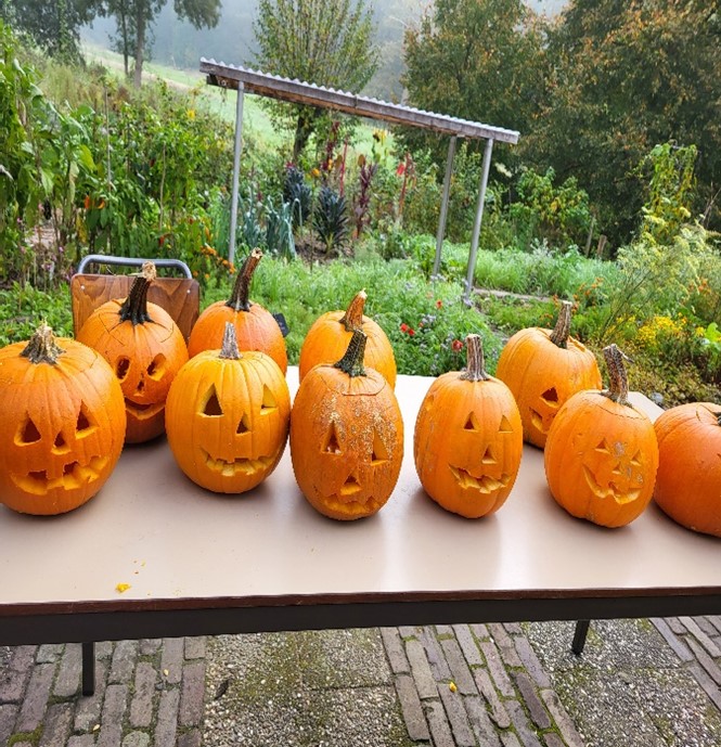 Kom pompoenen uithollen voor Halloween!