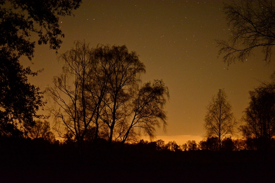 Nacht van de Nacht - Henk Heijligers