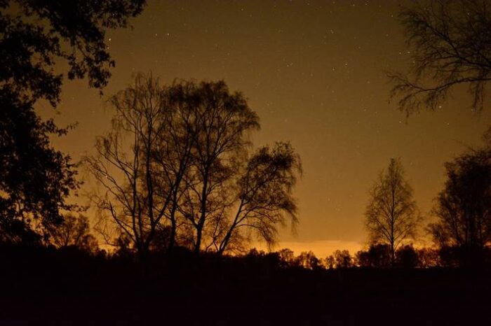 Ontdek de Hamert bij volle maan (Nacht van de Nacht)