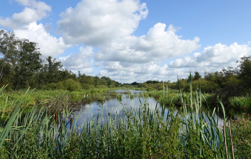 Oog in oog met water in De Pelen