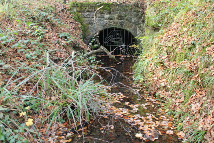 Wandeling door de Eifel - Mulartshütte