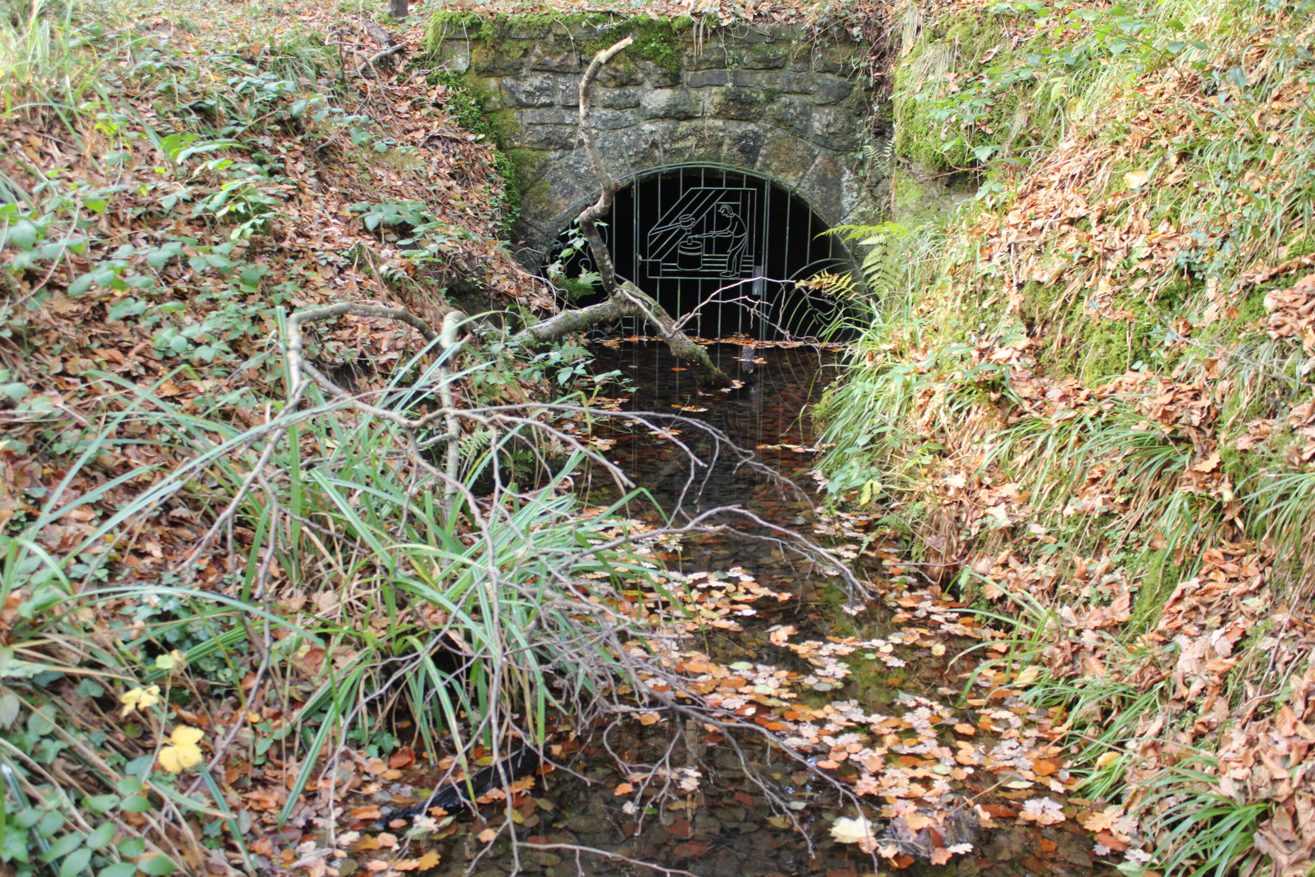 Wandeling door de Eifel - Mulartshütte