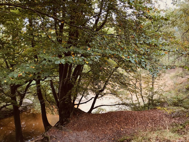 driestromenwandeling